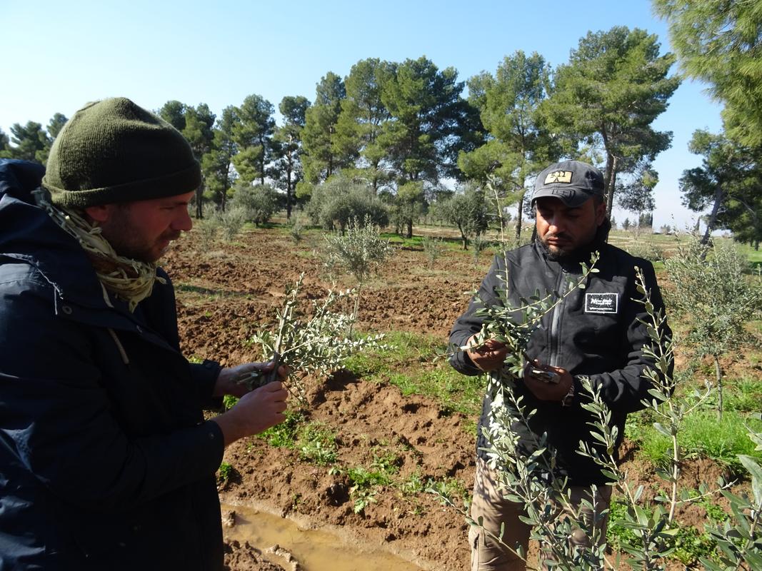 Trees for Rojava – A visit to a cooperative tree nursery in rojava