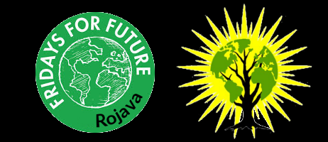 Redebeitrag von Make Rojava Green Again am internationalen Klimastreiktag