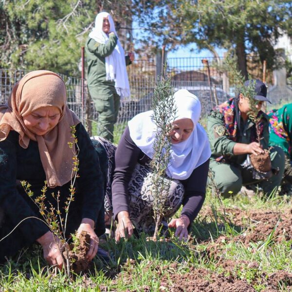Tree planting on April 4, an act of struggle