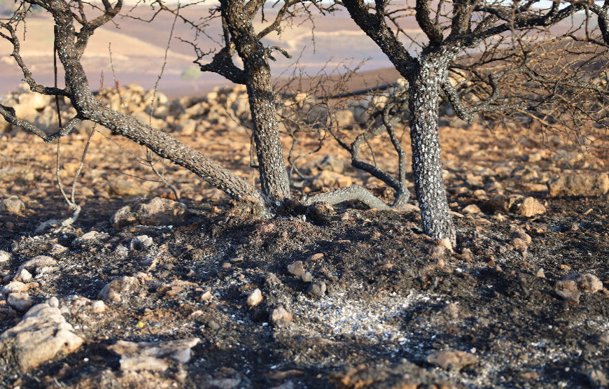 Politics of the scorched earth continue in whole Kurdistan