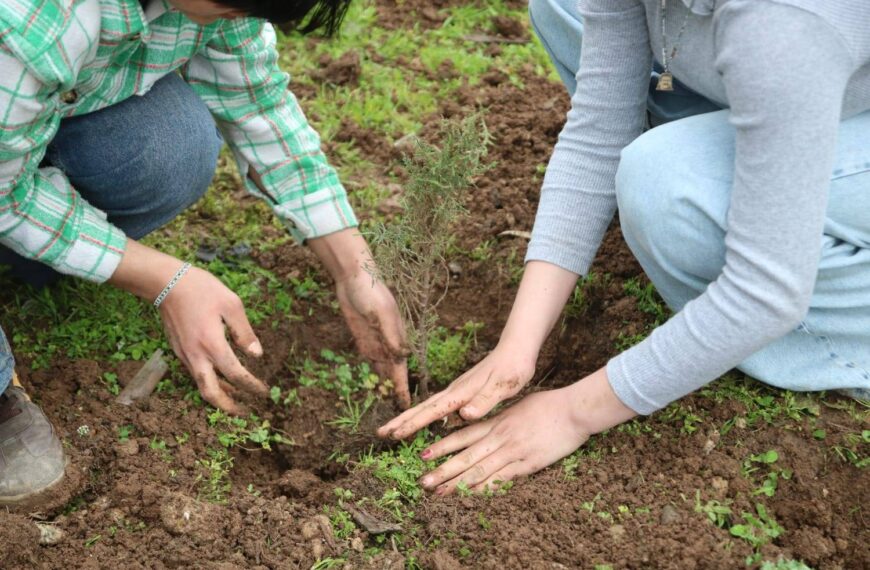 4. April – Ein Same wird ein Baum, ein Baum wird ein Wald, ein Wald wird Leben