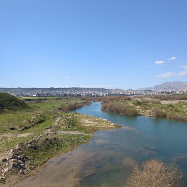 4th April – A seed becomes a tree, a tree becomes a forest and a forest becomes life