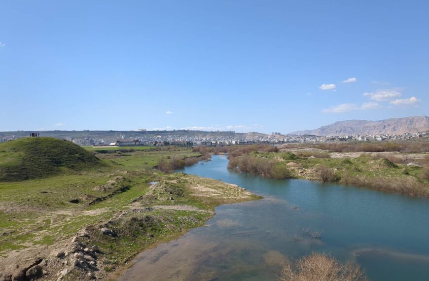 4. April – Ein Same wird ein Baum, ein Baum wird ein Wald, ein Wald wird Leben